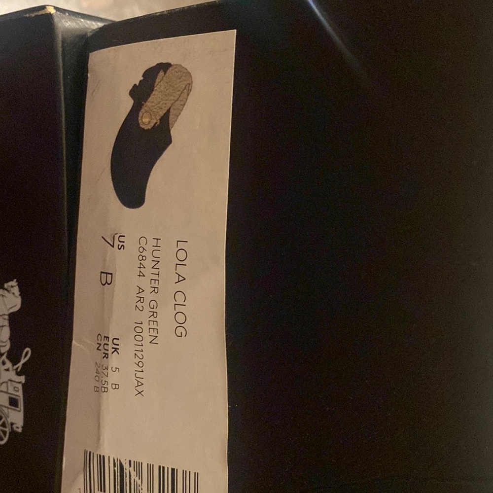 New damaged Box Hunter green coach clogs